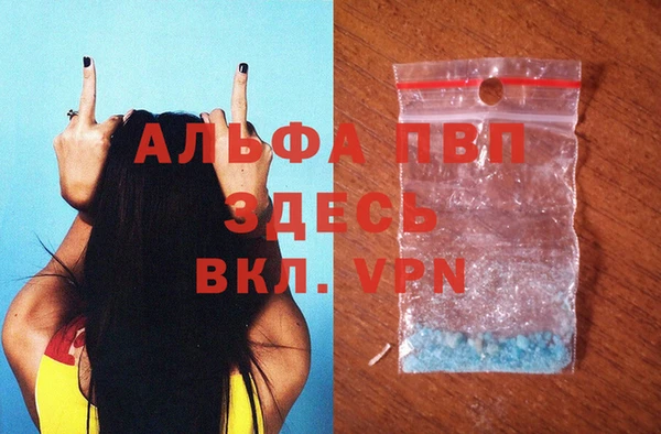 сатива Дубовка