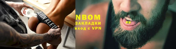 сатива Дубовка