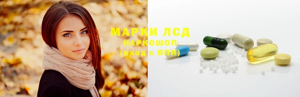 прущие крисы Абаза