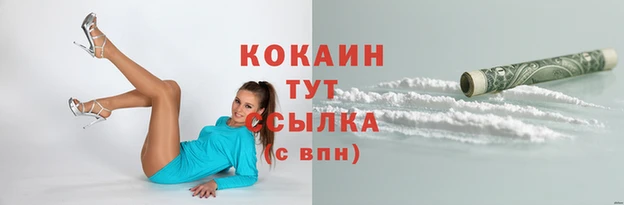 прущие крисы Абаза