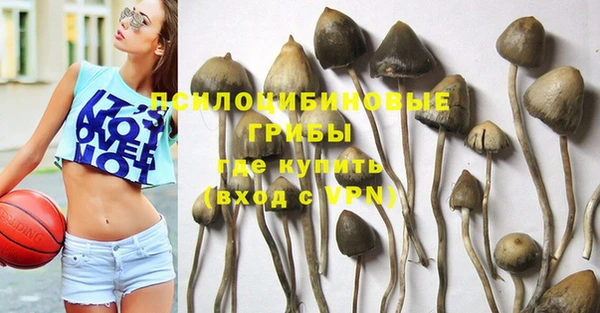 сатива Дубовка