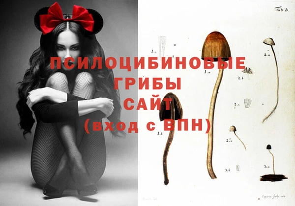 сатива Дубовка