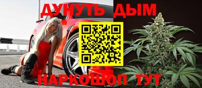 jwh Бийск