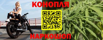 jwh Бийск