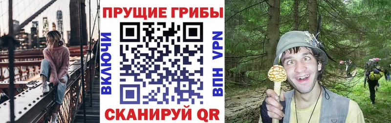Галлюциногенные грибы Psilocybe  kraken ССЫЛКА  Гагарин 