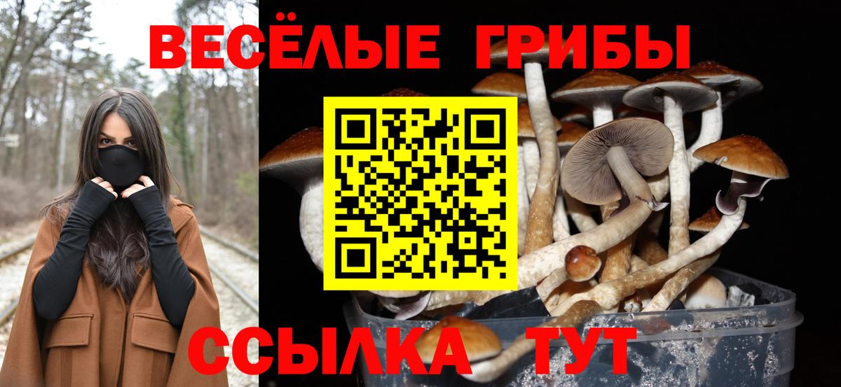 Гагарин  Галлюциногенные грибы GOLDEN TEACHER  Галлюциногенные грибы Cubensis  Вход с VPN 